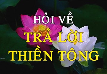 Trả Lời Thiền Tông Cho Người Hỏi Bị Đứng Hình