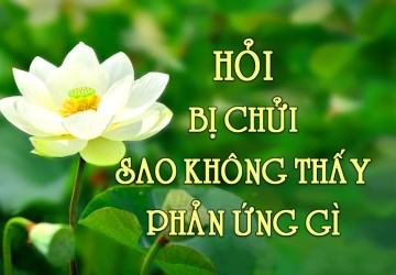 Bị Chửi Sao Không Thấy Phản Ứng Gì