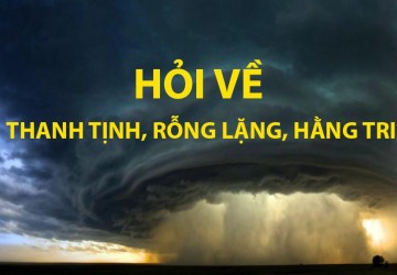 Tôi đọc trong Giáo Lý Đạo Phật Thiền Tông, sao không thấy chỗ nào chỉ tu Thanh tịnh, Rỗng lặng, Hằng