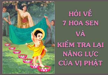 bước chân trên “7 bông hoa Sen” có phải là sự thật hay chỉ có ý nghĩa hình tượng để nói về 1 bậc Toà