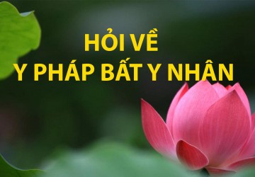 Tôi nghe Thiền tông Gia Đức Tịnh giải đáp ngày 27 tháng 03 năm 2020 có nhắc tới câu y Pháp bất y nhâ