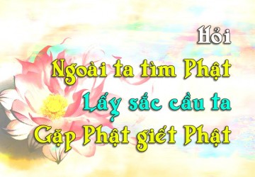 Hỏi Ngoài Ta Tìm Phật Ắt Theo Tà, Lấy Sắc Cầu Ta, Gặp Phật Giết Phật Gặp Ma Giết Ma