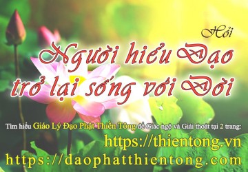 NGƯỜI ĐÃ HIỂU ĐẠO TRỞ LẠI SỐNG VỚI ĐỜI