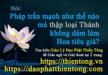 PHÁP TRẦN MẠNH NHƯ THẾ NÀO MÀ THẬP LOẠI THÁNH KHÔNG DÁM LÀM HOA TIÊU GIẢ?