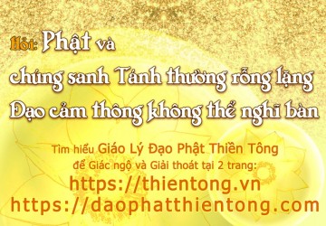 PHẬT VÀ CHÚNG SANH TÁNH THƯỜNG RỖNG LẶNG, ĐẠO CẢM THÔNG KHÔNG THỂ NGHĨ BÀN