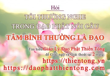 TÔI THƯỜNG NGHE TRONG ĐẠO PHẬT NÓI CÂU “TÂM BÌNH THƯỜNG LÀ ĐẠO”