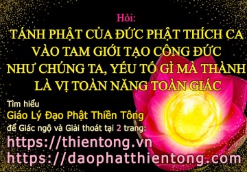 TÁNH PHẬT CỦA ĐỨC PHẬT THÍCH CA VÀO TAM GIỚI TẠO CÔNG ĐỨC NHƯ CHÚNG TA, YẾU TỐ GÌ MÀ THÀNH LÀ VỊ TOÀ