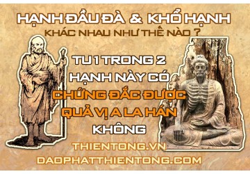 HẠNH ĐẦU ĐÀ VÀ KHỔ HẠNH KHÁC NHAU NHƯ THẾ NÀO? TU 1 TRONG 2 HẠNH NÀY CÓ CHỨNG ĐẮC ĐƯỢC QUẢ VỊ A LA H