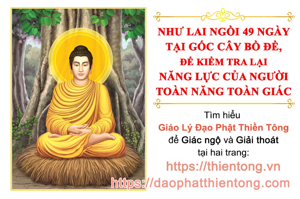 3. Nội Dung Chính của Thiền Định